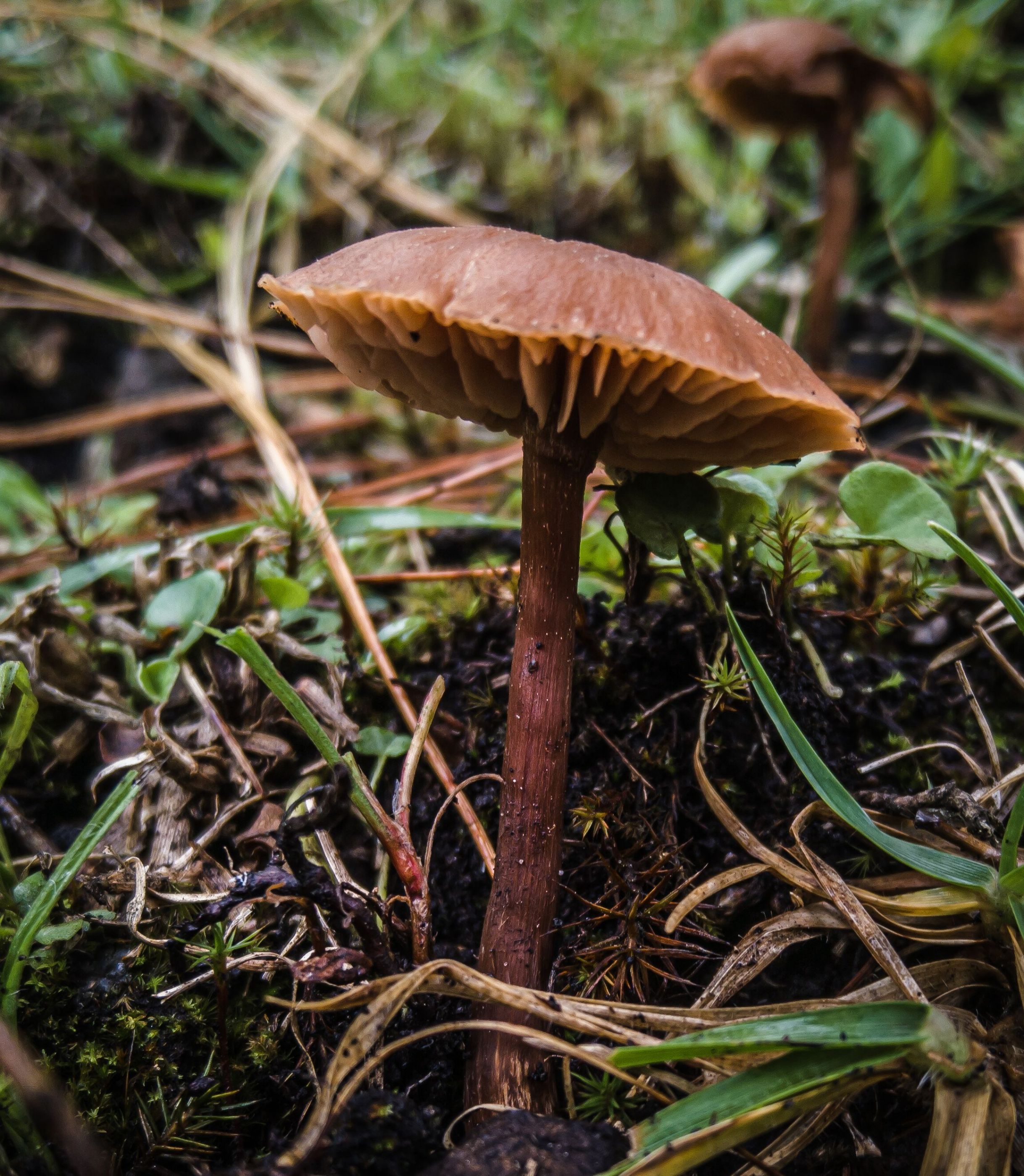 LRM_20211012_080226 (1)